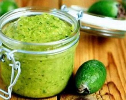 12 receptes delicioses per fer melmelada de feijoa a l’hivern