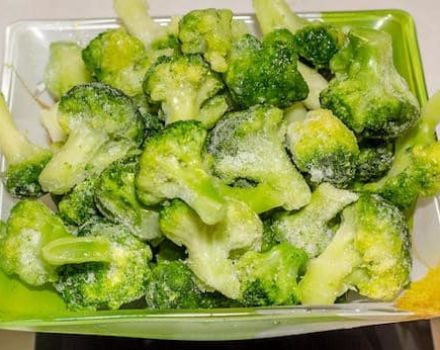 TOP 10 des recettes sur la façon de congeler le brocoli pour l'hiver à la maison avec et sans ébullition