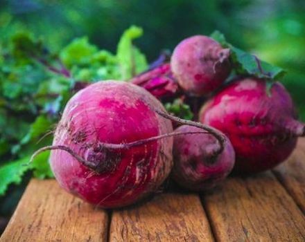 TOP 13 recipes for the step-by-step preparation of beetroot salads for the winter