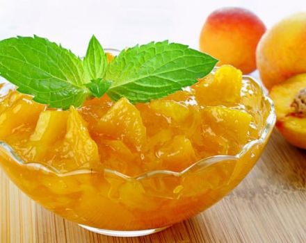 Recettes simples pour faire de la confiture de pêches avec des oranges pour l'hiver