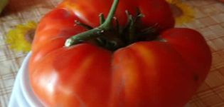 Description of the tomato variety Marshal Pobeda and its yield