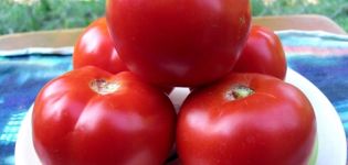 Características y descripción de la variedad de tomate Red Guard, su rendimiento