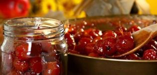 Une recette simple de confiture transparente de ranetki avec une queue pour l'hiver