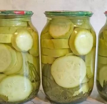 Recette étape par étape pour faire des courgettes marinées au beurre pour l'hiver