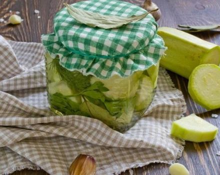 Recepten voor het marineren van courgette met dille voor de winter waar je je vingers bij aflikt