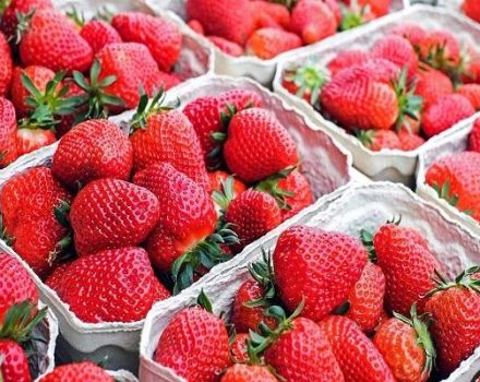 Cómo almacenar correctamente las fresas en casa para el invierno.