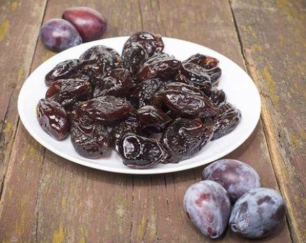 TOP 4 recipes for how to cook prunes for the winter at home