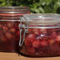 8 easy recipes for delicious red gooseberry jam for the winter