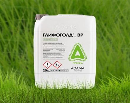 Instructions for the use of the herbicide Glifogold, mechanism of action and consumption rates