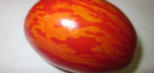 Characteristics and description of the tomato variety Easter egg