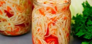 TOP 9 recetas rápidas para hacer repollo en escabeche con pimiento para el invierno