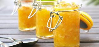 7 recettes pas à pas pour la confiture de courgettes et de pommes pour l'hiver