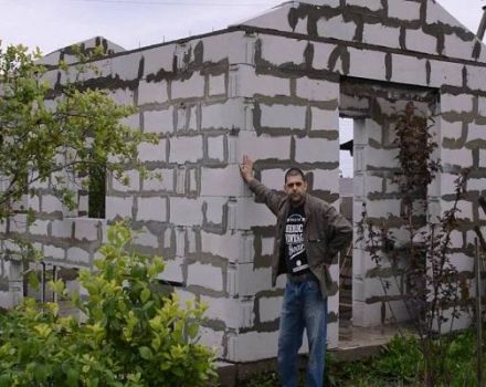 Step-by-step instructions for building a chicken coop from foam blocks with your own hands