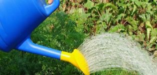 When and how to water beets with salt water to keep them sweet