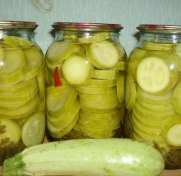 Recettes instantanées de courgettes croustillantes légèrement salées en 5 minutes