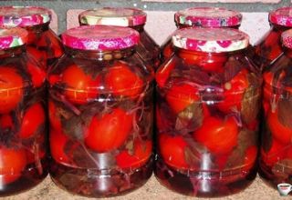 Recipes for pickling tomatoes with basil for the winter