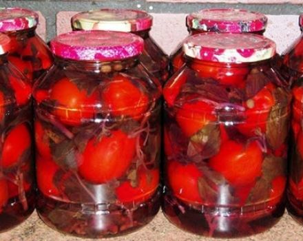 Recipes for pickling tomatoes with basil for the winter