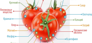 ¿Qué vitaminas se encuentran en los tomates y cómo son útiles?