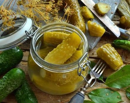 6 delicious recipes for crispy pickled cucumbers in jars for the winter