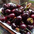 Description and characteristics of the Dyber cherry variety, planting and care