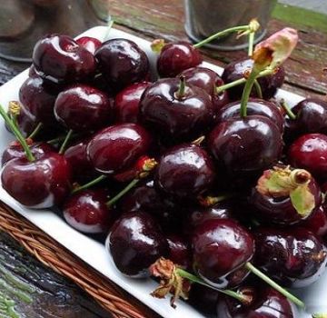 Paglalarawan at mga katangian ng iba't ibang Dyber cherry, planting at pangangalaga