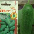 Description of the cucumber variety Nastya F1, features of cultivation and care