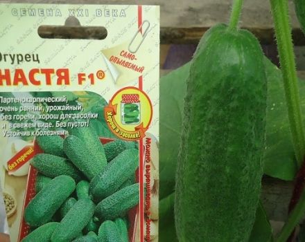 Descripción de la variedad de pepino Nastya F1, características de cultivo y cuidado.