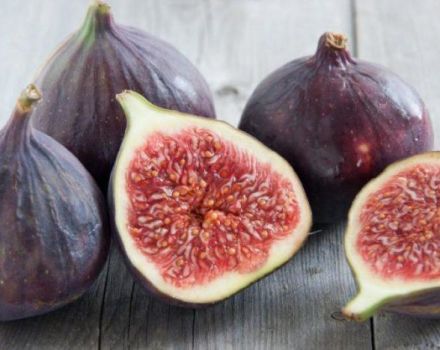 9 best recipes for harvesting figs for the winter at home