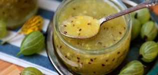 Las 11 mejores recetas de salsa de grosella espinosa paso a paso para el invierno