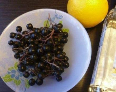 5 recettes pour faire de la confiture d'aronia à l'orange