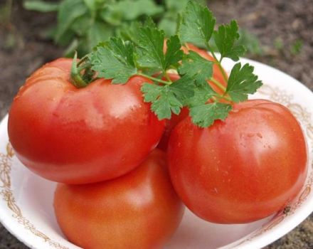 Características y descripción de la variedad de tomate Polbig, su rendimiento