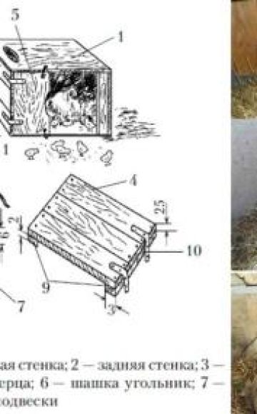 Dimensions and drawings of nests for Indooks and how to do it yourself