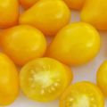 Description de la variété de tomates Golden Drop et Bifseller Pink F1