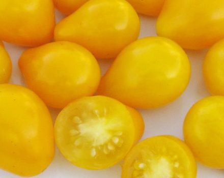 Description de la variété de tomates Golden Drop et Bifseller Pink F1