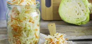 Is it possible to ferment early cabbage at home, TOP 3 recipes for the winter