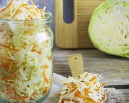 Est-il possible de fermenter tôt le chou à la maison, TOP 3 des recettes pour l'hiver