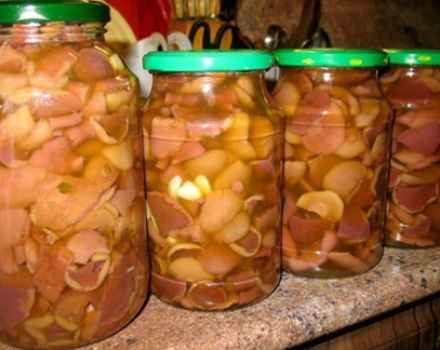 Recipe for making pickled mushrooms for the winter in jars