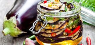 6 delicious eggplant recipes with basil for the winter