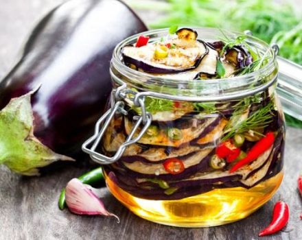 6 délicieuses recettes d'aubergines au basilic pour l'hiver