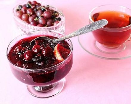 TOP 3 des recettes pour faire de la confiture de cassis et de groseille pour l'hiver