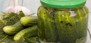 Recipes for crispy cucumbers with vodka for the winter in jars under a nylon salted lid