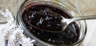 TOP 6 recettes simples de confiture de cassis pour l'hiver