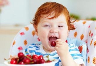 Beneficios para la salud y daños de las cerezas, contenido calórico y composición, cómo almacenar una baya.