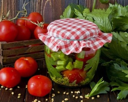 Les meilleures recettes de tomates marinées au céleri pour l'hiver et la durée de conservation de la conservation