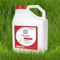 Instructions for the use of Miura herbicide against weeds in the beds and the consumption rate