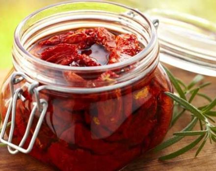 TOP 17 resipi langkah demi langkah cara memasak tomato kering matahari untuk musim sejuk di rumah