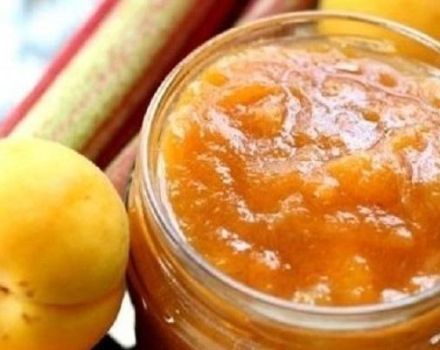 3 meilleures recettes de confiture d'abricot au fructose pour les diabétiques pour l'hiver