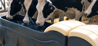 Types of drinking bowls for cows and how to do it yourself, step by step instructions