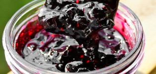 TOP 2 des recettes de confiture de groseilles noires et rouges aux feuilles de cerisier