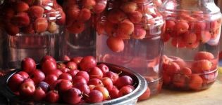 Recetas paso a paso sobre cómo cocinar una deliciosa compota de ranetki para el invierno en un frasco de 3 litros.